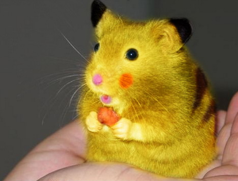 real-life-pikachu-rat-2.jpg