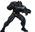 Black Panther :bp: :bp: